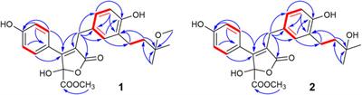 Butenolide derivatives from Aspergillus terreus selectively inhibit butyrylcholinesterase